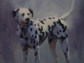 An oil painting of Elvis the dalmatian.